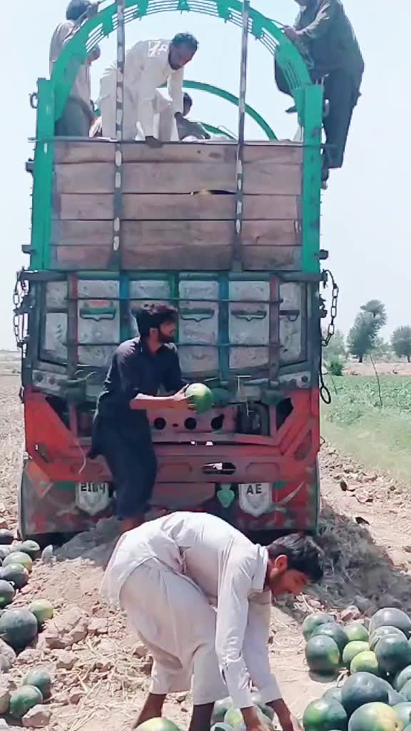 @imrangujjar39660