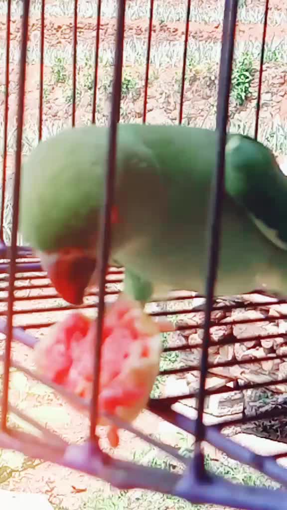 @user292329