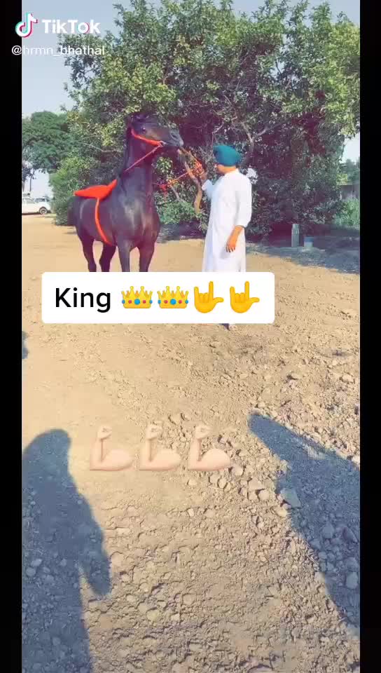 @Looser 💔💔💔