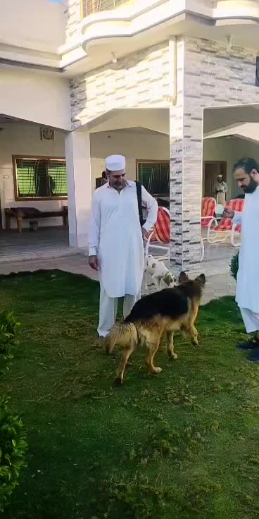@Tariq Aziz