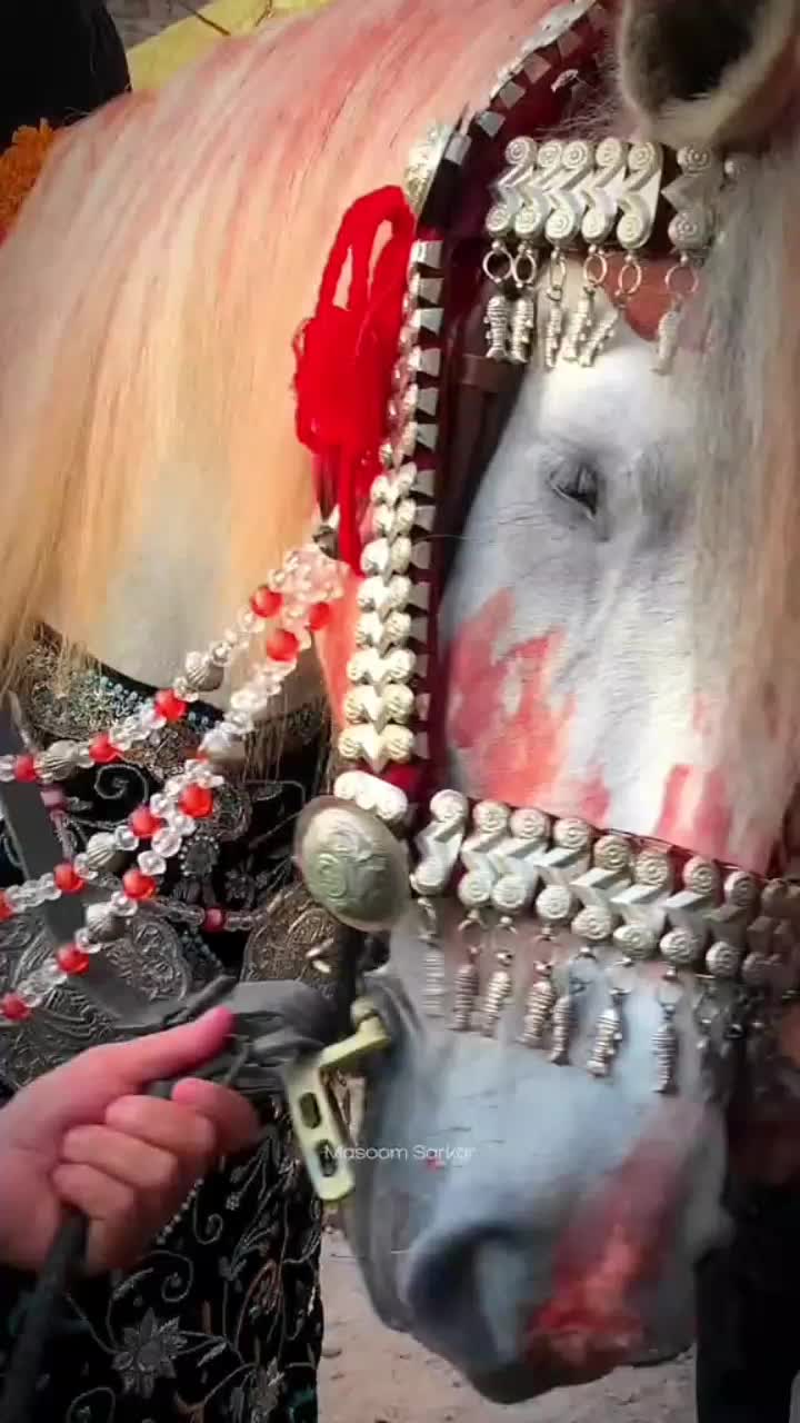 @kaneez e zehra