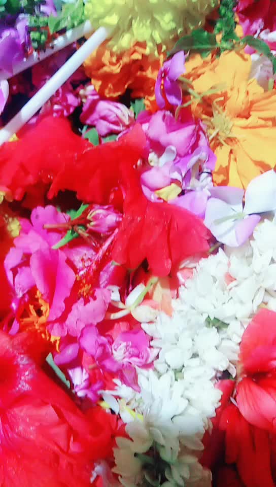 @ಗಾಂಚಲಿ ಹುಡ್ಗ