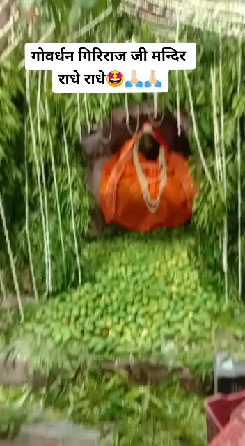 @Ritu Kaushik