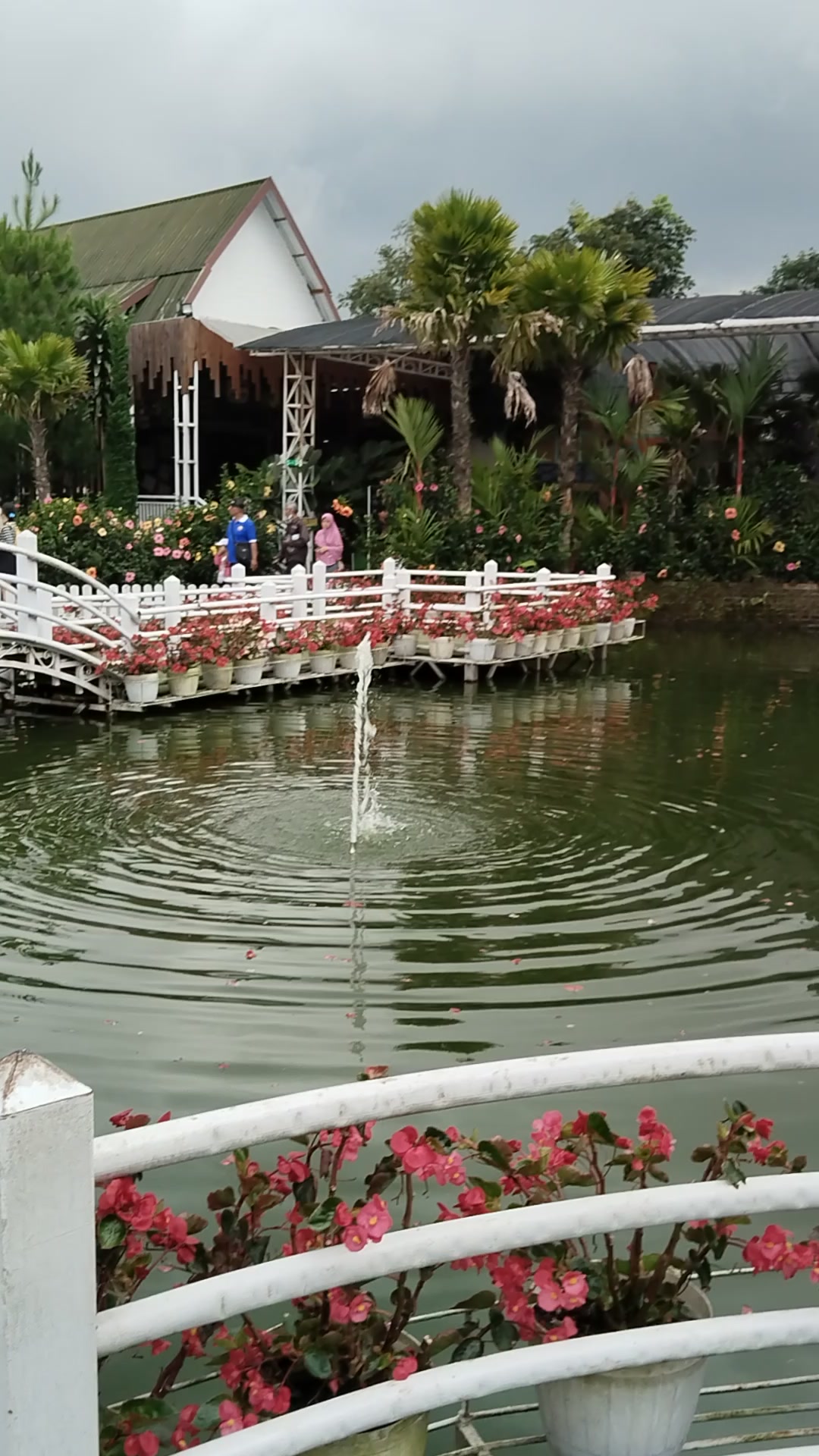 @Wanita Tangguh70