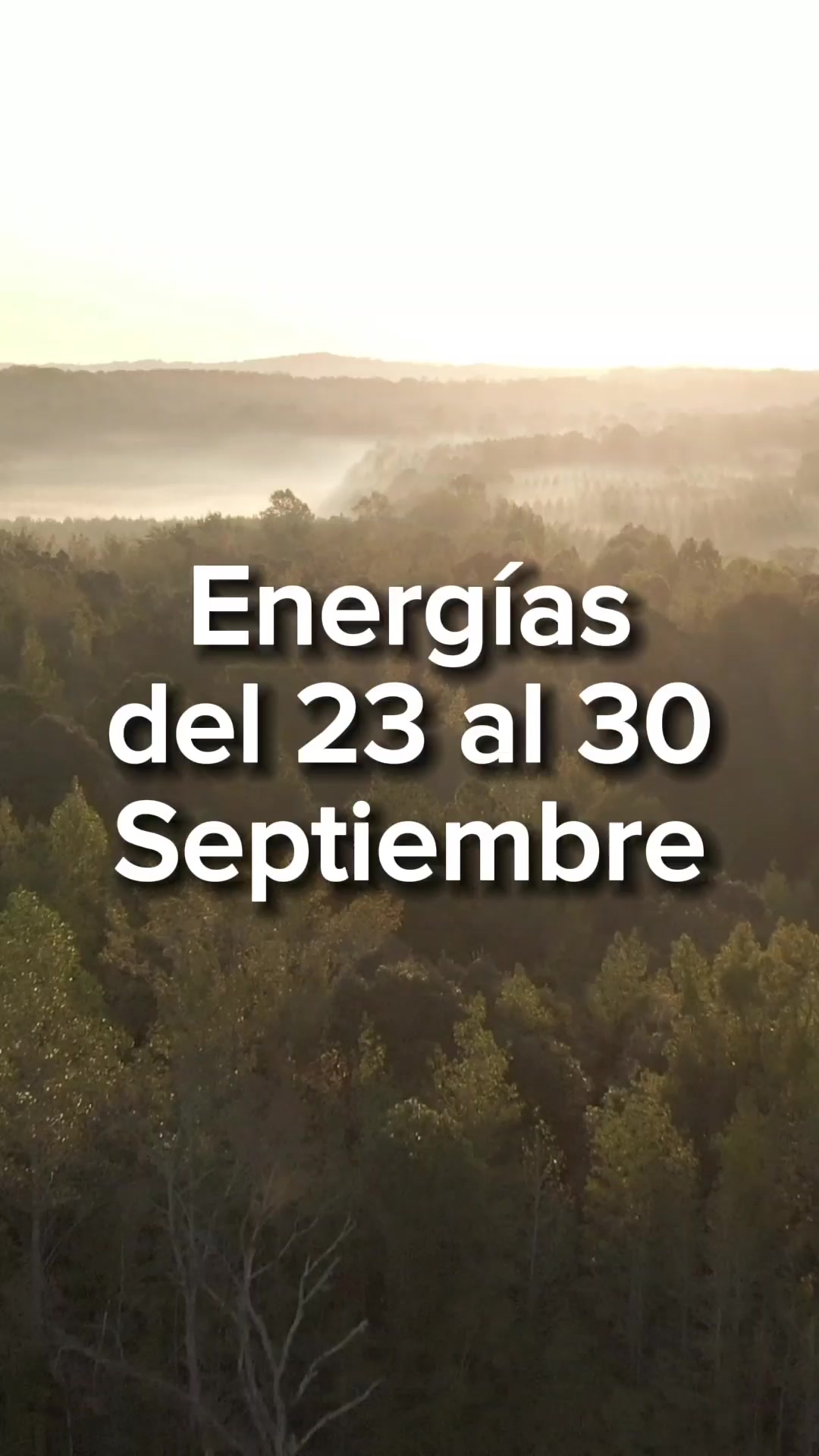 @numerosescenciales