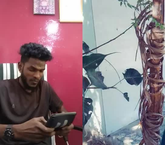 @bullet mani