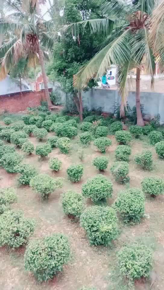 @SANJAY.S