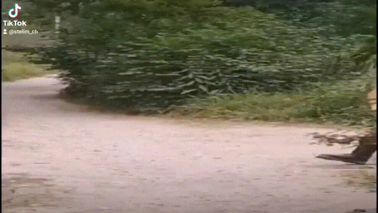 @Даниил Захаров