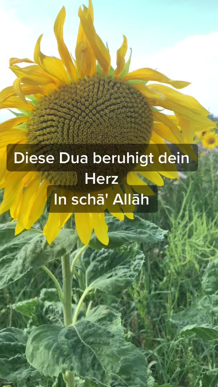 @✨Semra✨