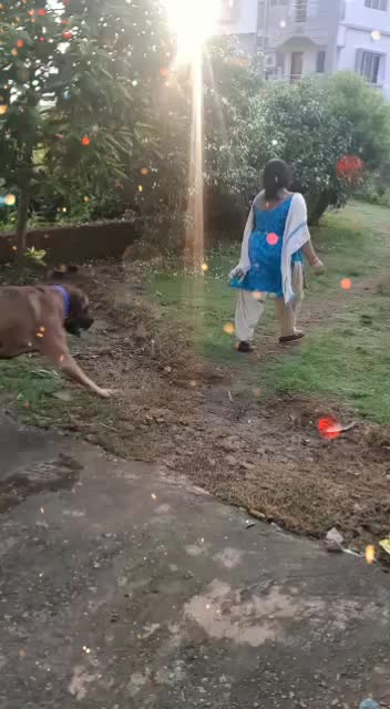 @gayatri nayak