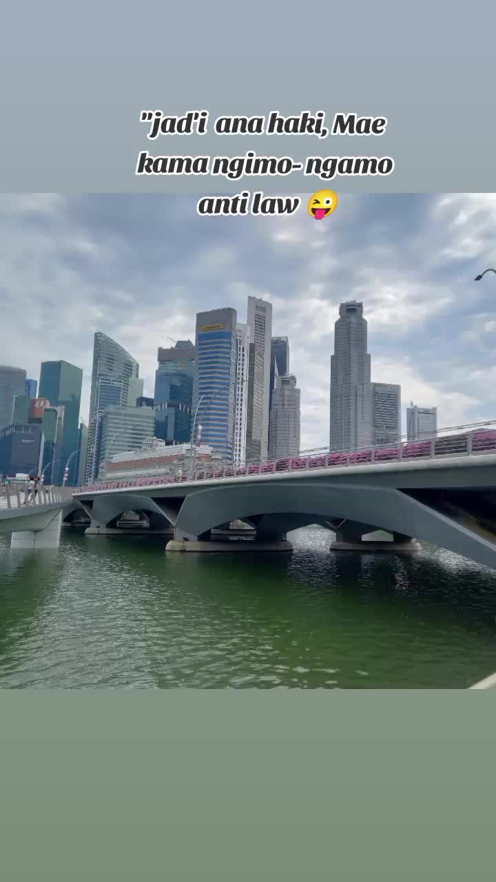 @iliy🦋💍