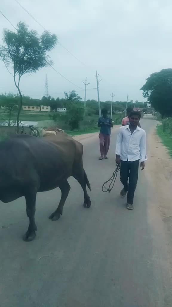 @Saikrishna