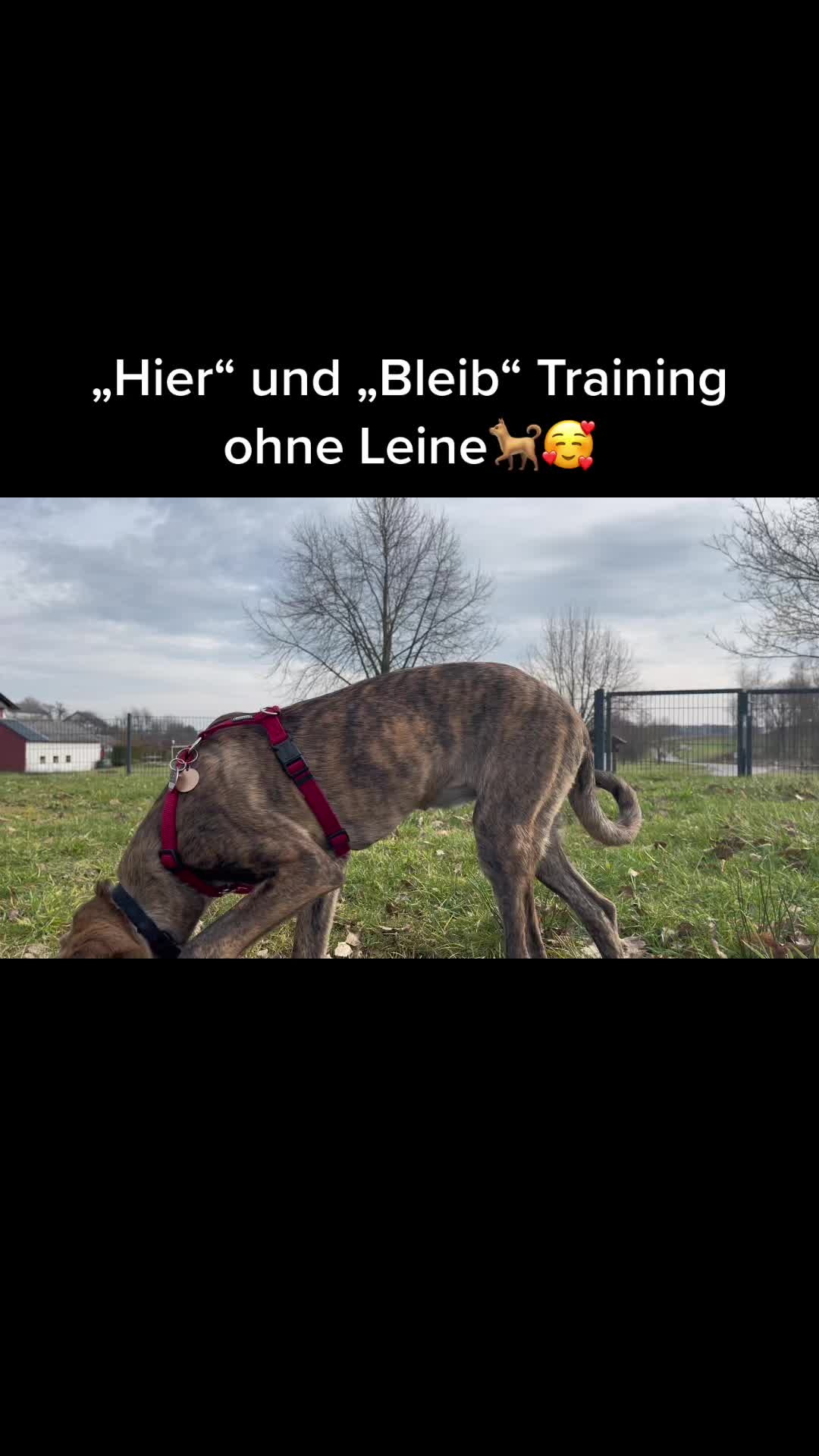 @nadiiineschmidt
