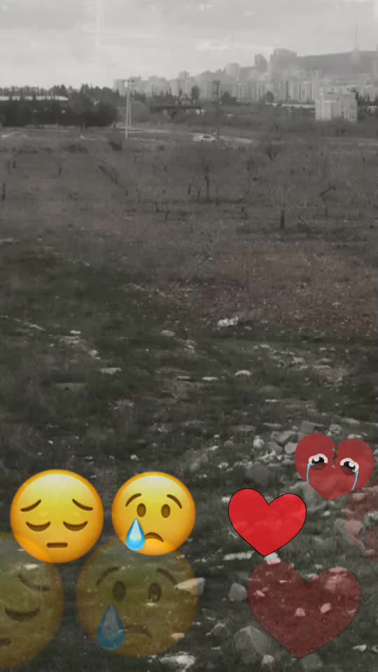 @bayramerve