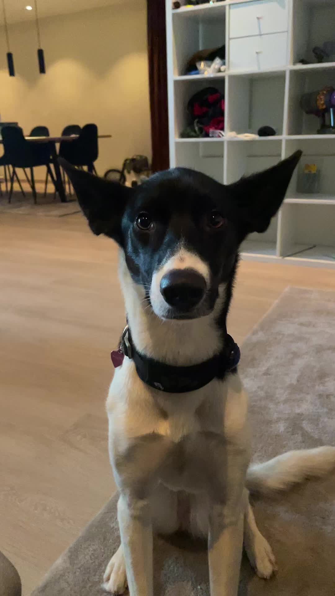 @Solveig