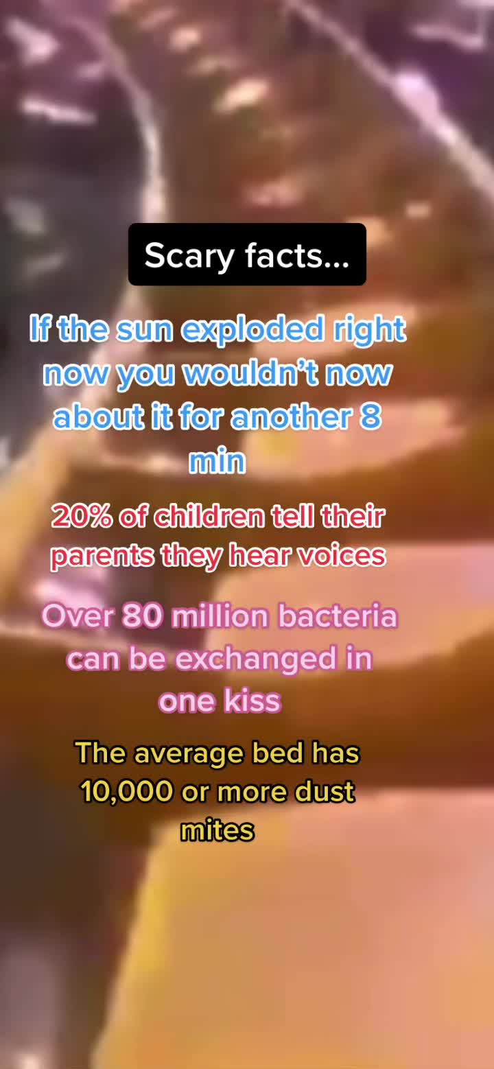 @BrainTester🧠