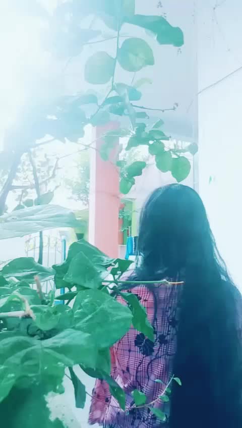 @Kavya Palega_AMMU