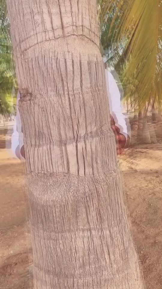 @Jalal md