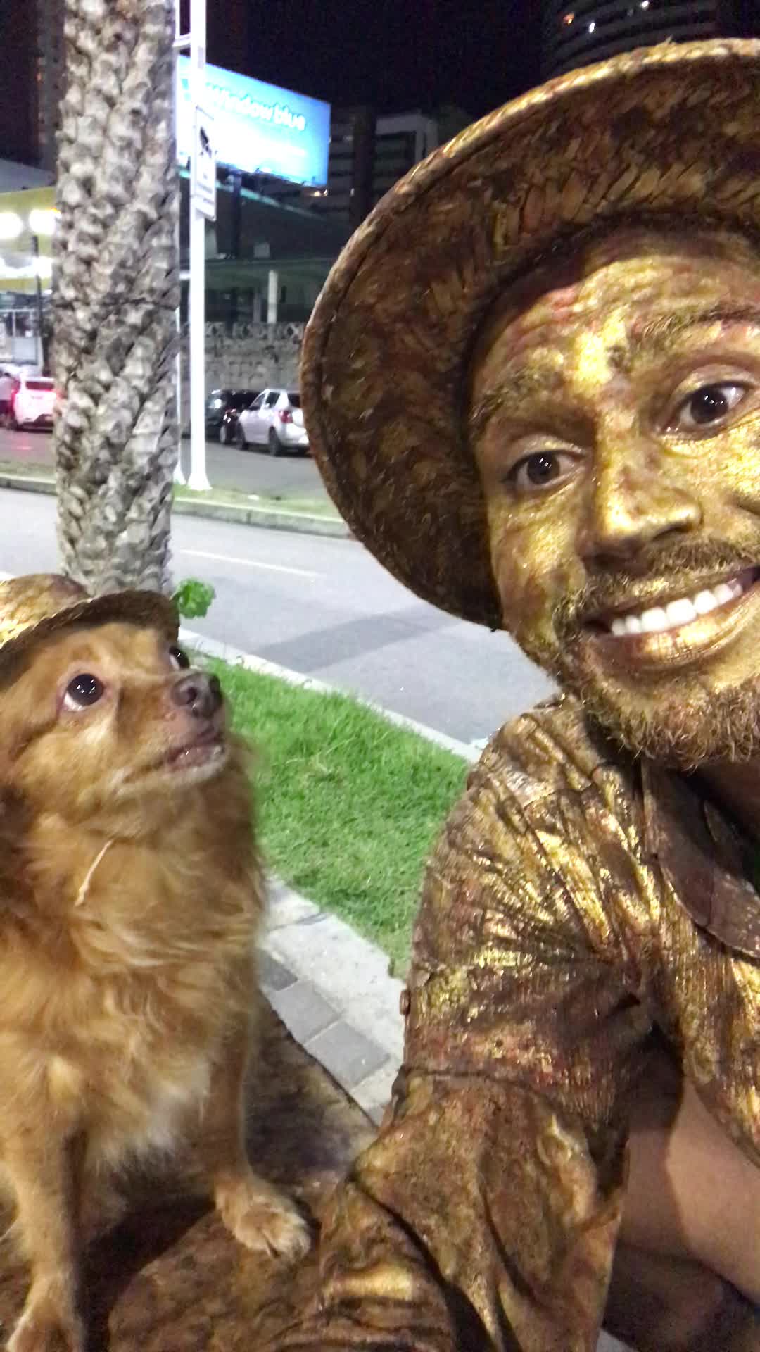 @Cachorrinhaartista🇻🇪