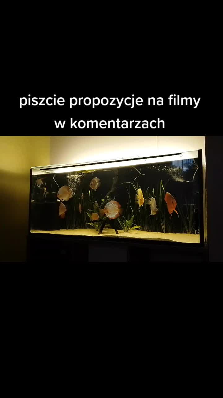@🐟Mój wodny świat🐟