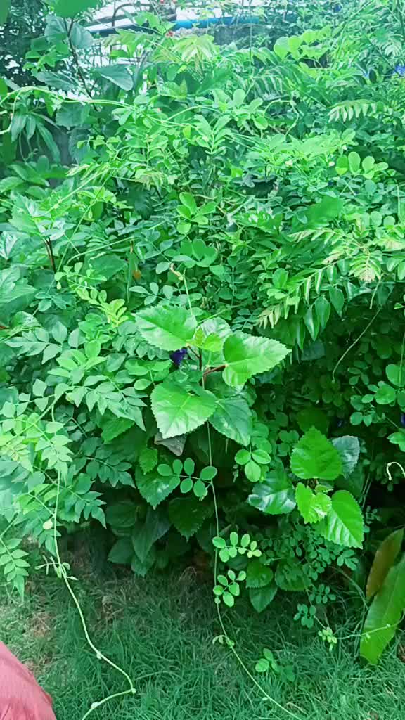 @🇮🇳Sakshi_chauhan00