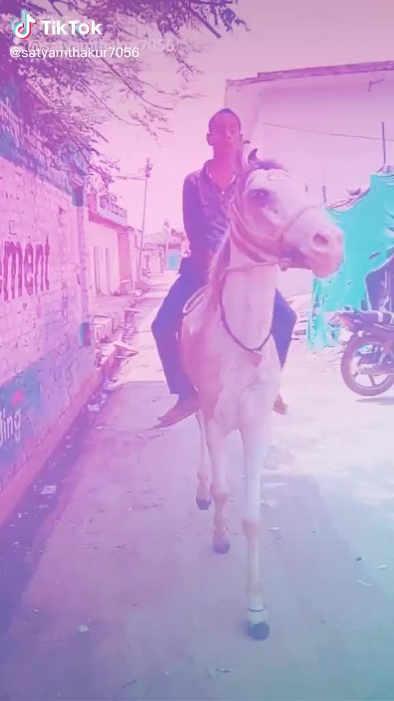 @Arhan Saudagar