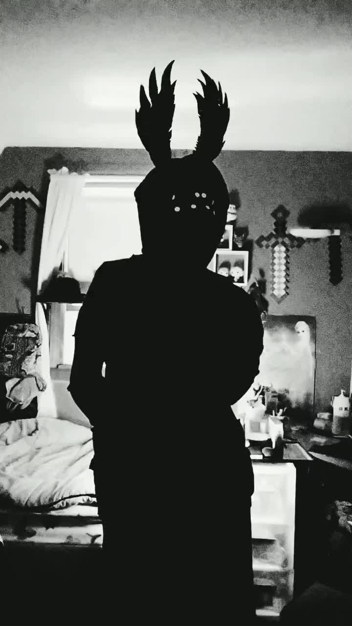 @Felis Tenebris