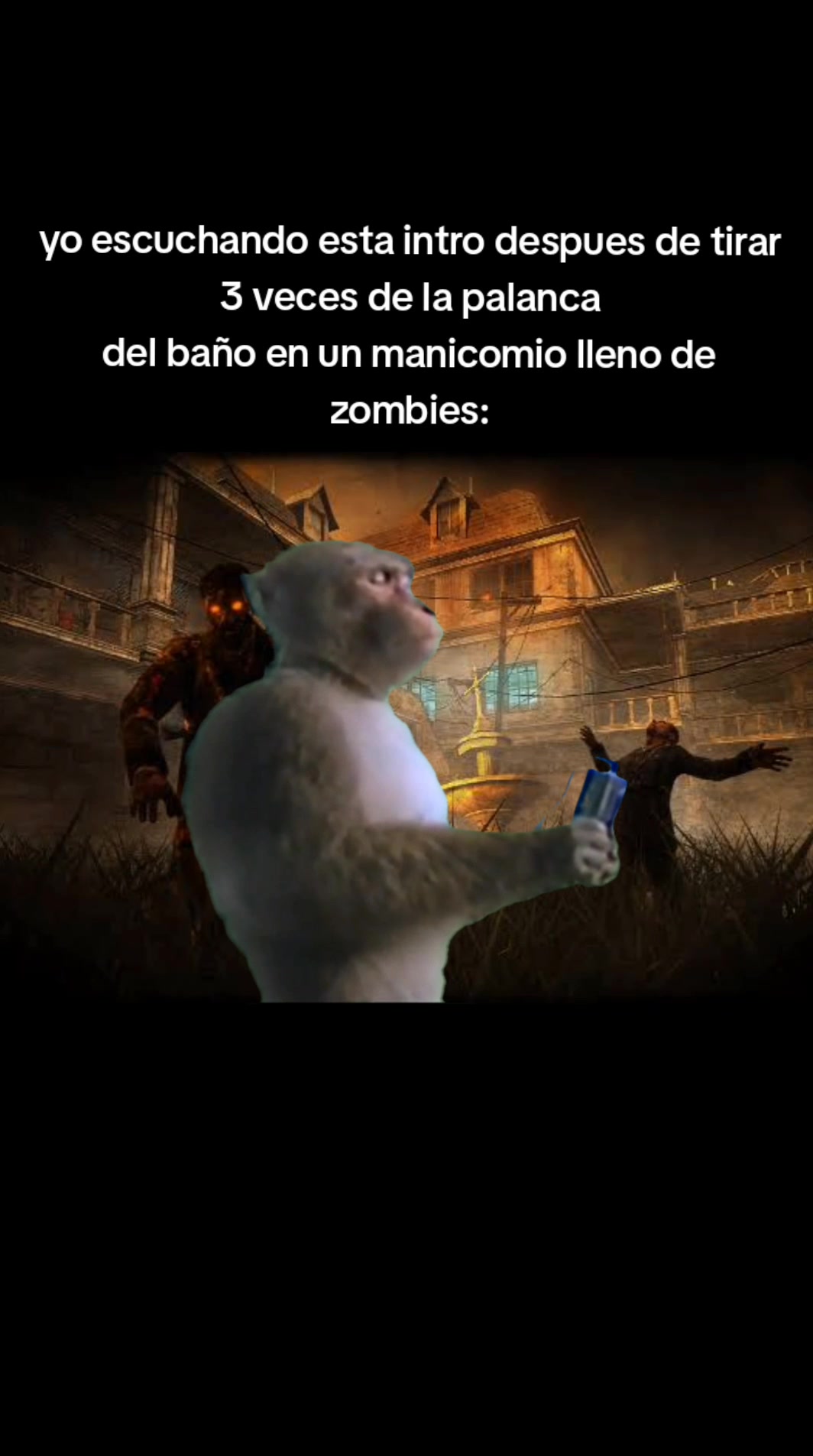 @quesidogo44
