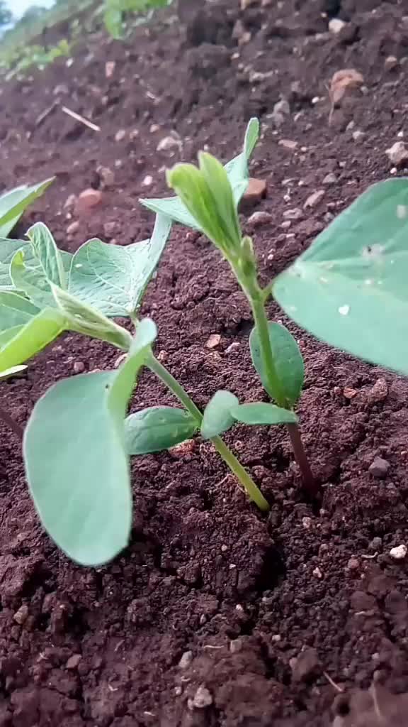 @Mr.Vaibhav gaikwad