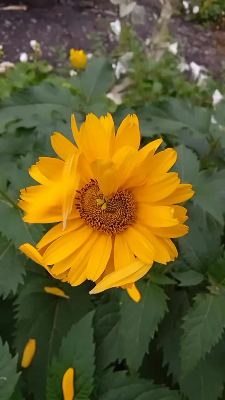 @Maxim080413