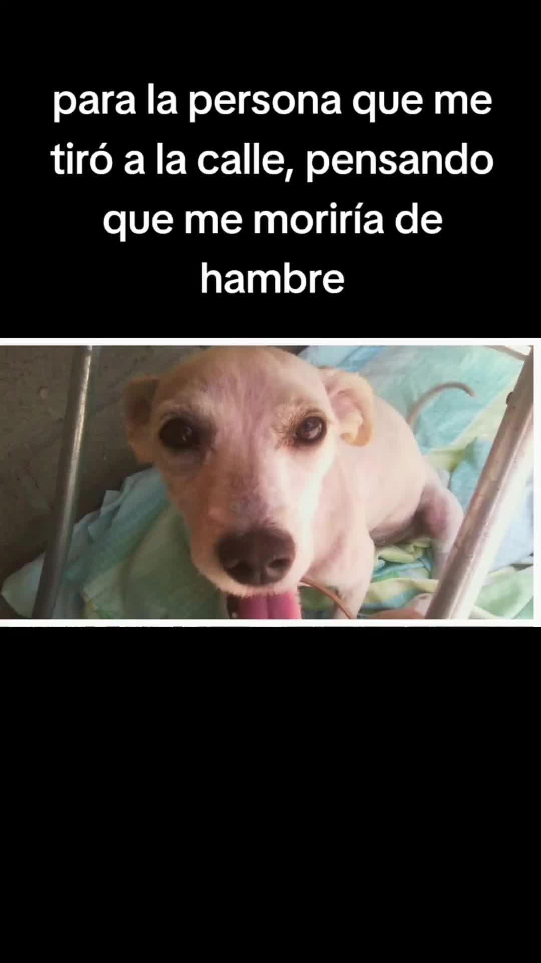 @Tere