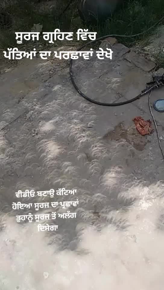 @Dev Gobindgarh