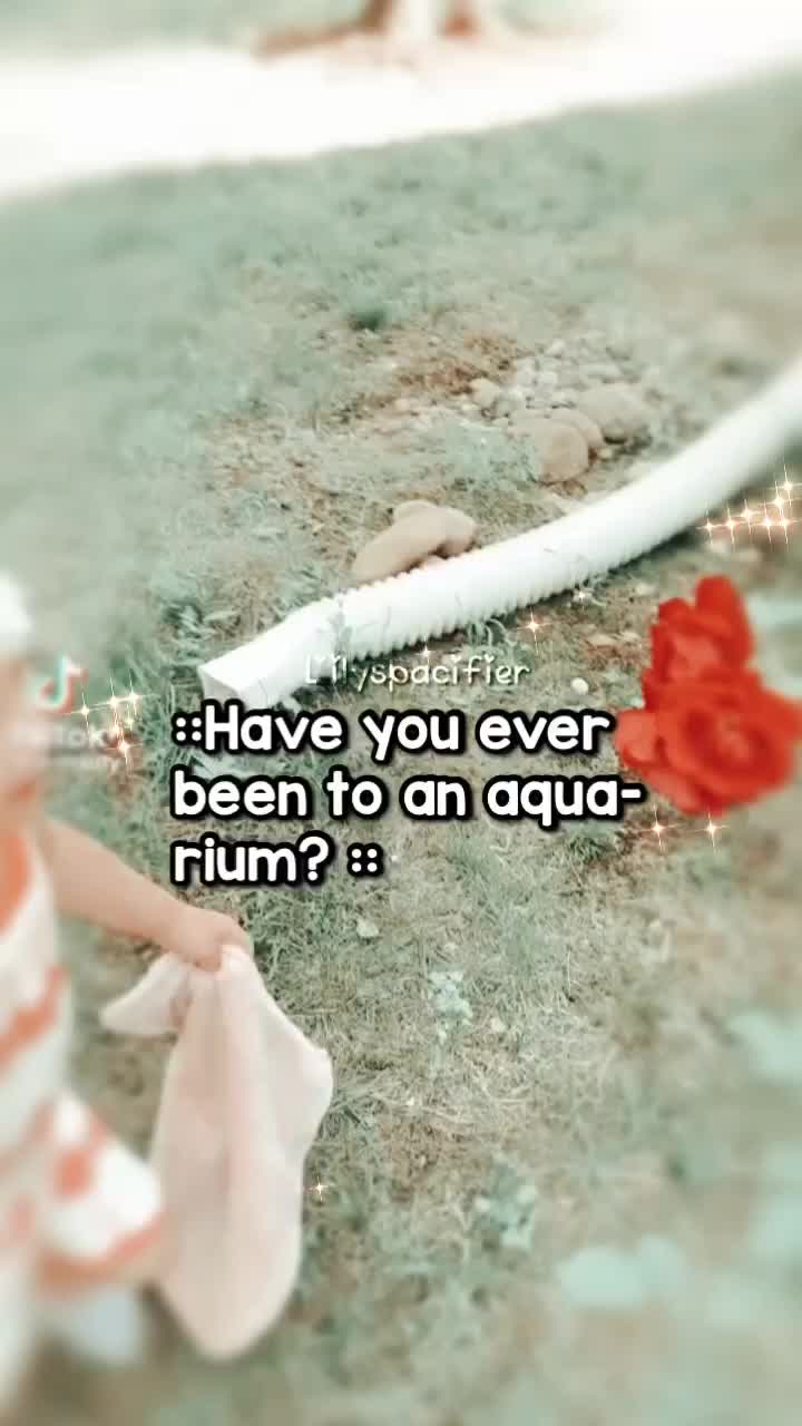 @#Lilybee ◡̈