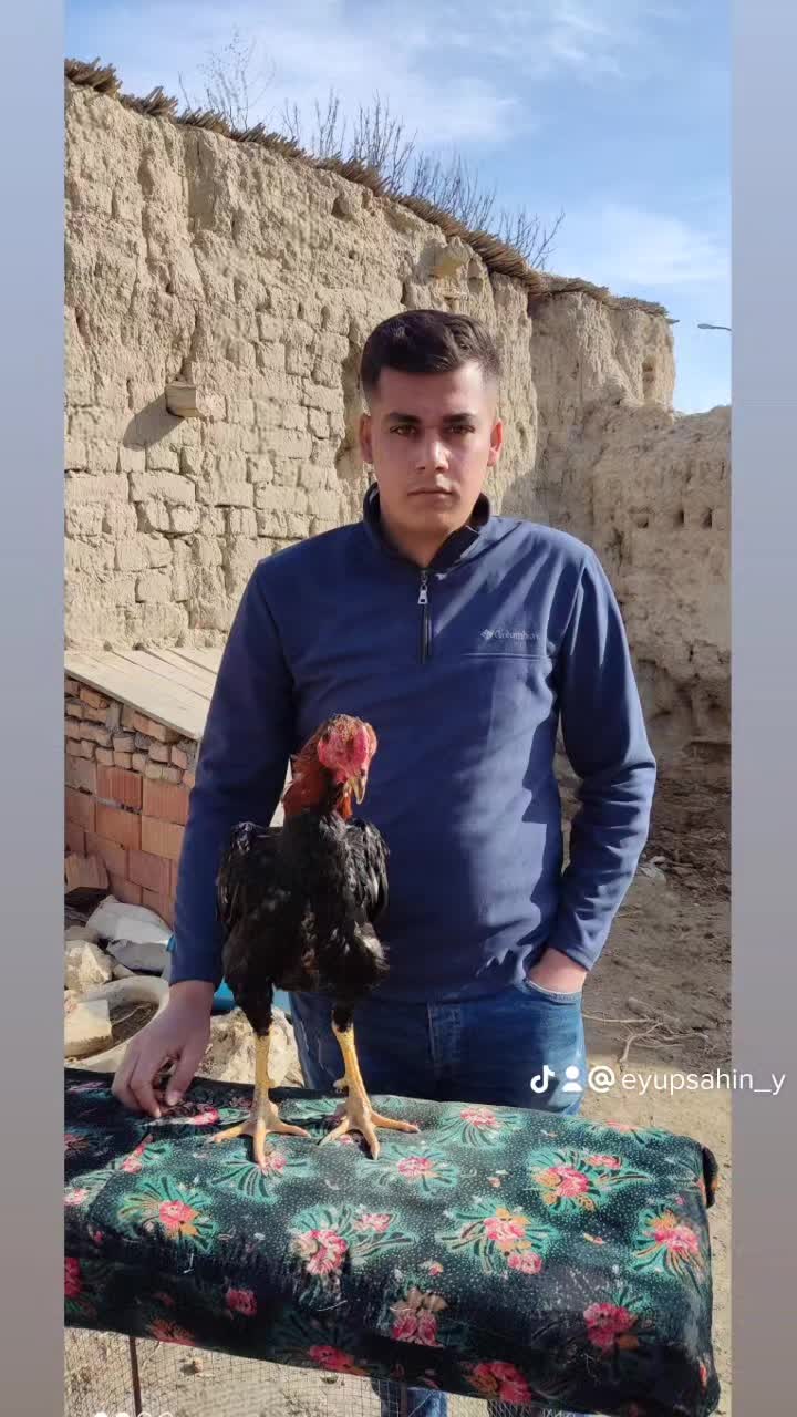 @Eyüp Şahin Yalman
