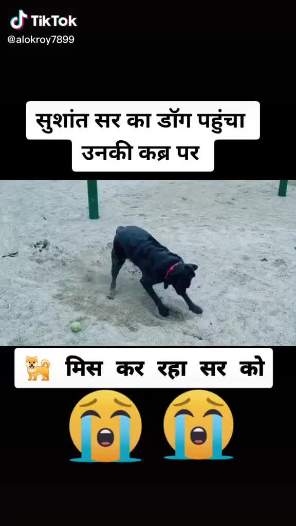 @ravishankar pathari