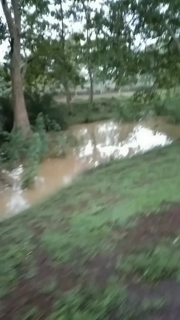 @rekhlal deshmuk