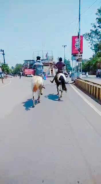 @om yadav