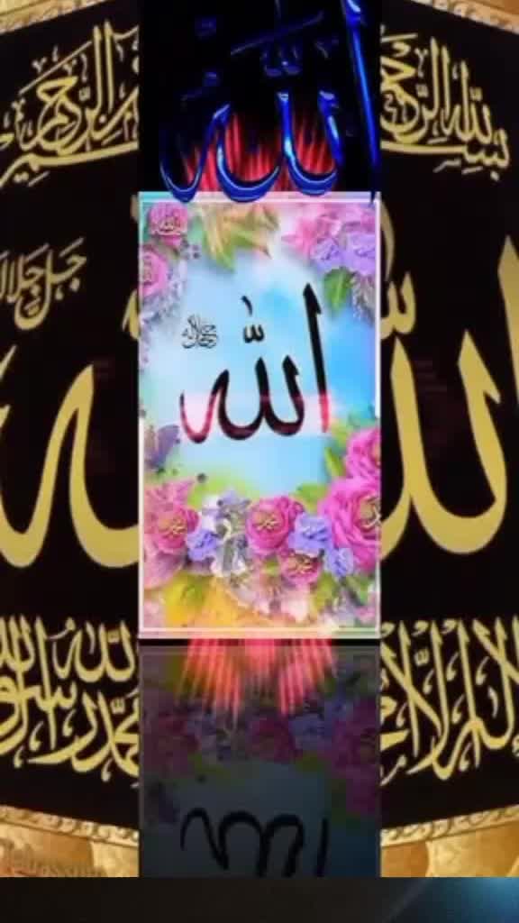 @maikameen5458