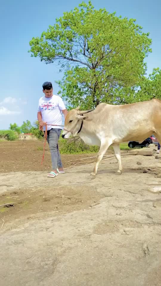 @⚜️VAIBHAV NAKHATE⚜️