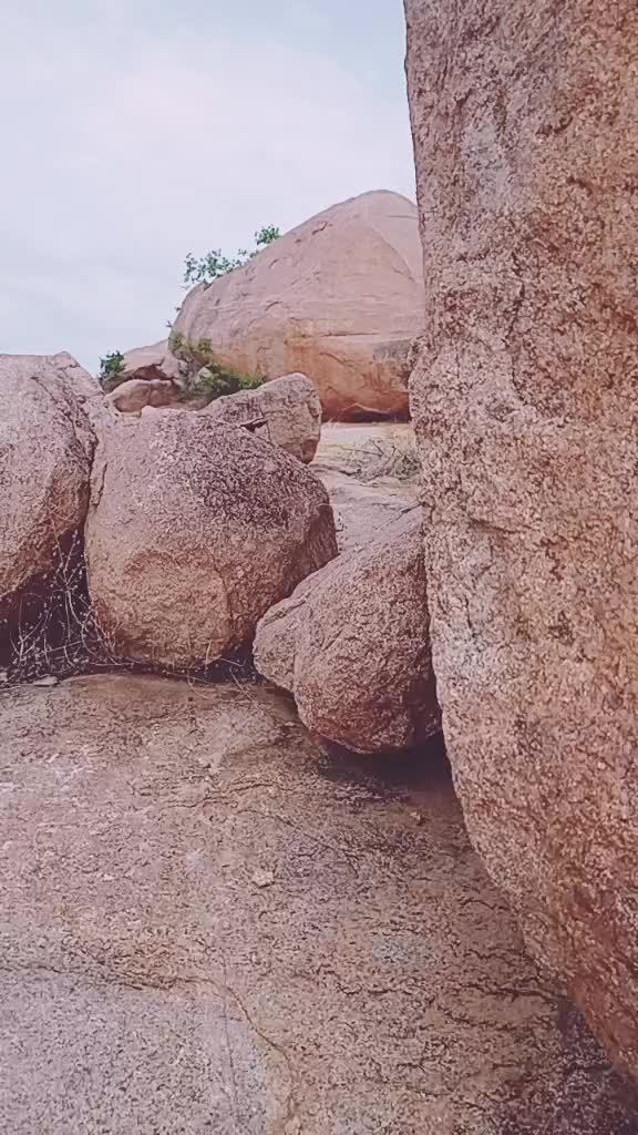 @Gokari_PSPK5601