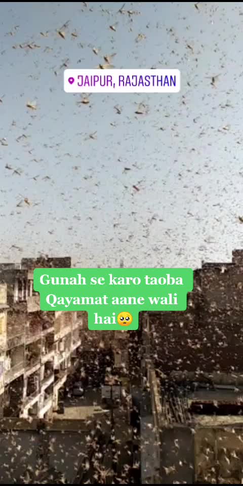 @Arshad