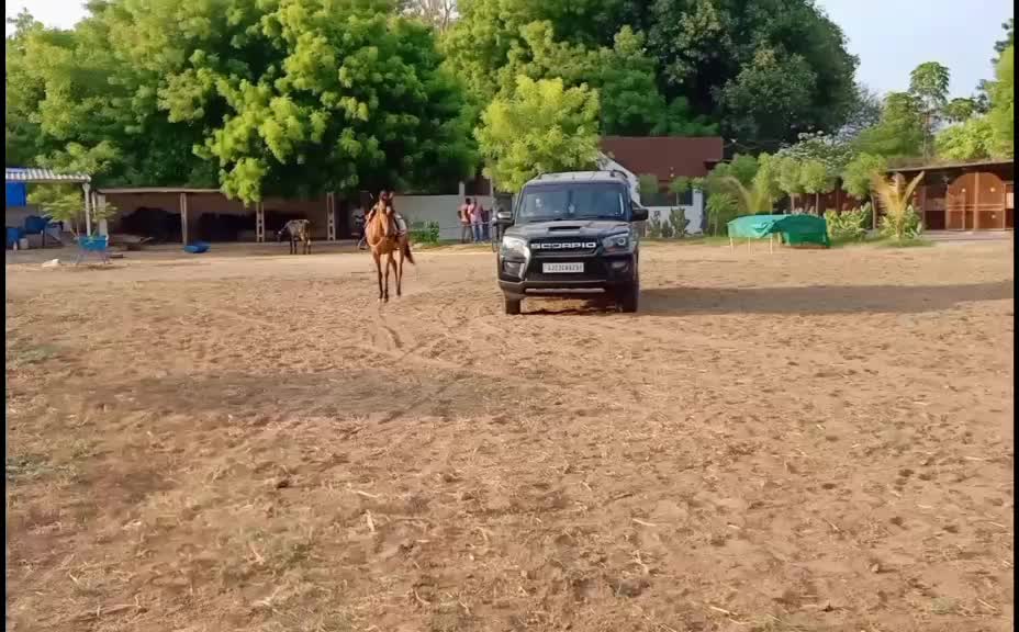 @🏇Sonu rider🏇