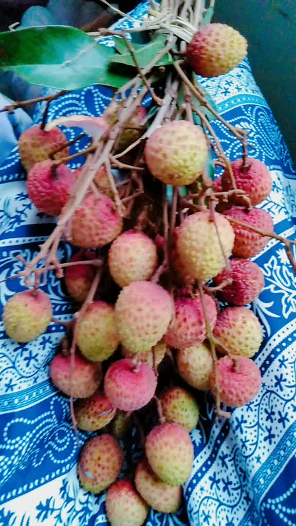 @anshi borah..