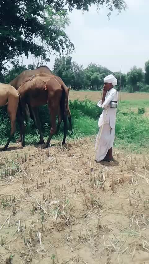 @Rutvik Desai