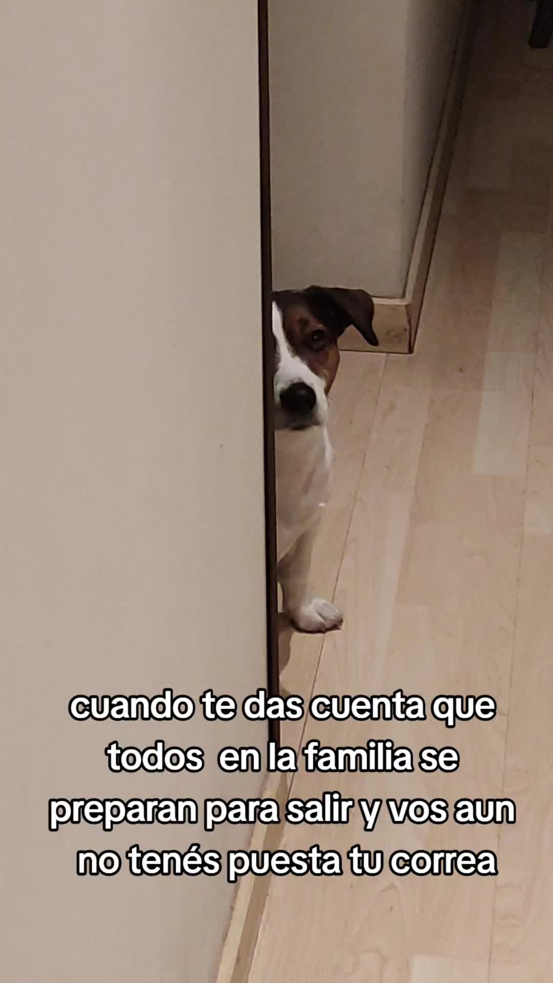 @Somos Teo y Tina