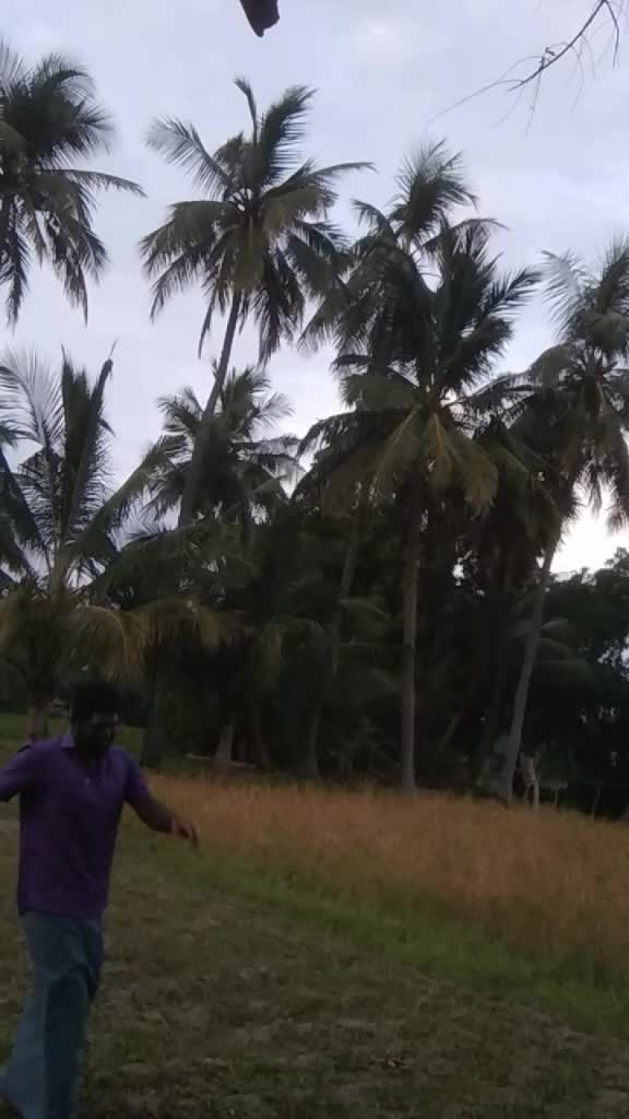 @user789598
