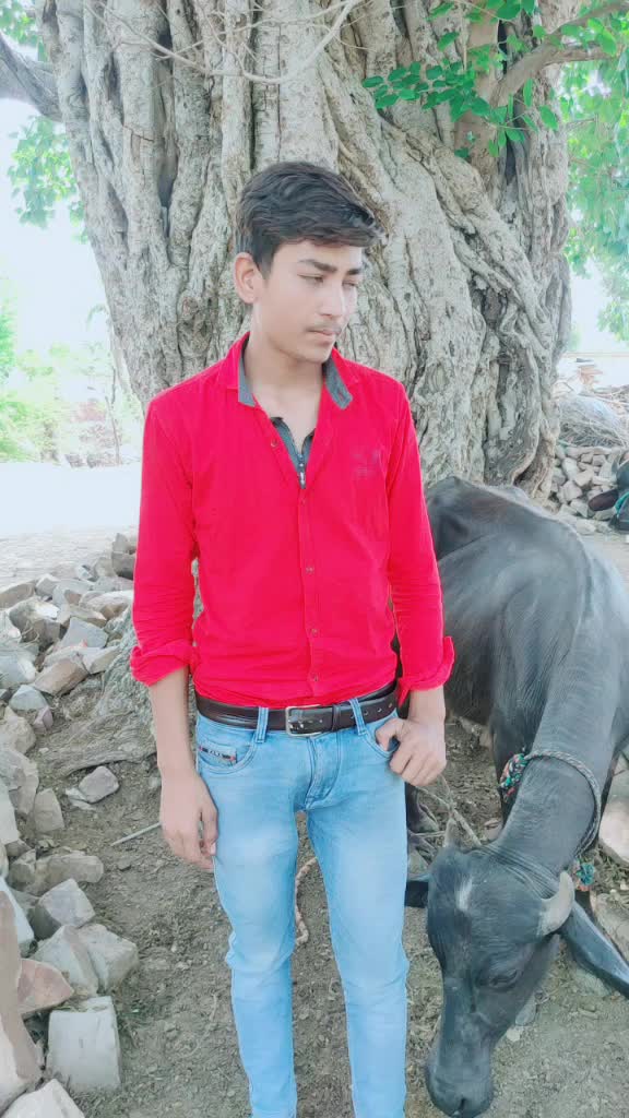 @pandit boy