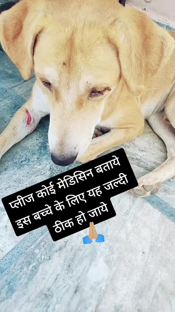 @kirti bisht