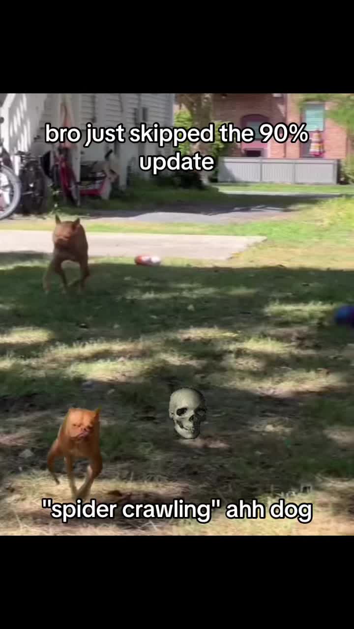 @NoCode_12