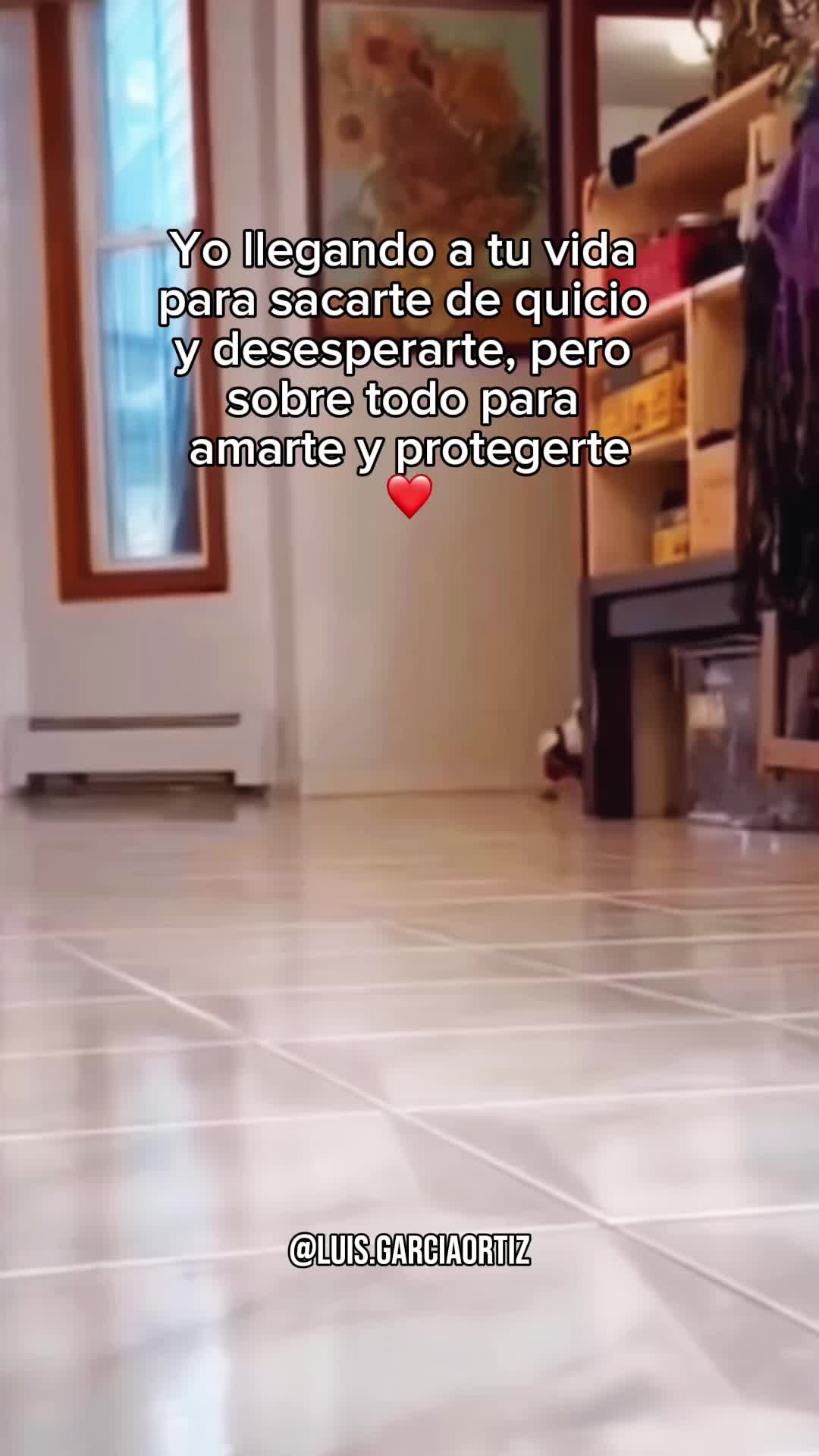 @Luis Garcia Ortiz